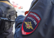 В Архангельской области правоохранительные органы задержали 33-летнего мужчину по подозрению в многолетних сексуальных надругательствах над несовершеннолетней племянницей