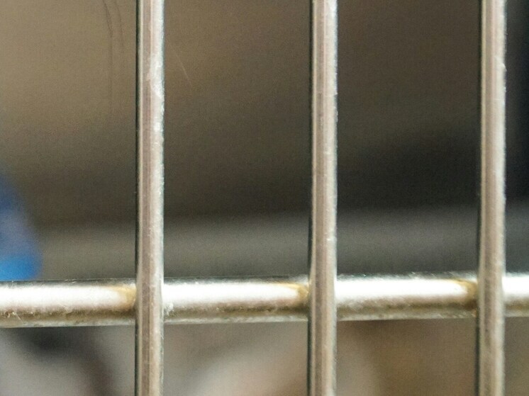 В изолятор отправили главу управления строительной политики Воронежа