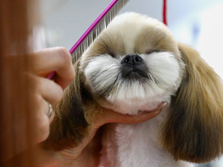 Правда, незначительно, на 6-11%