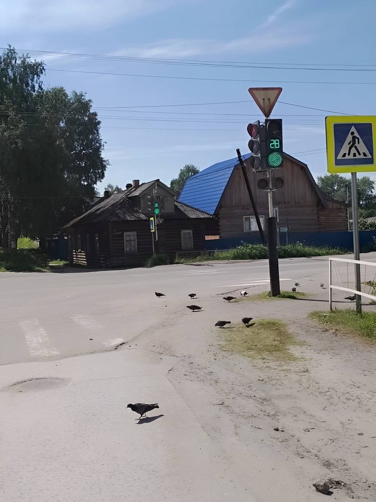 В Онежском округе устанавливают новые светофоры
