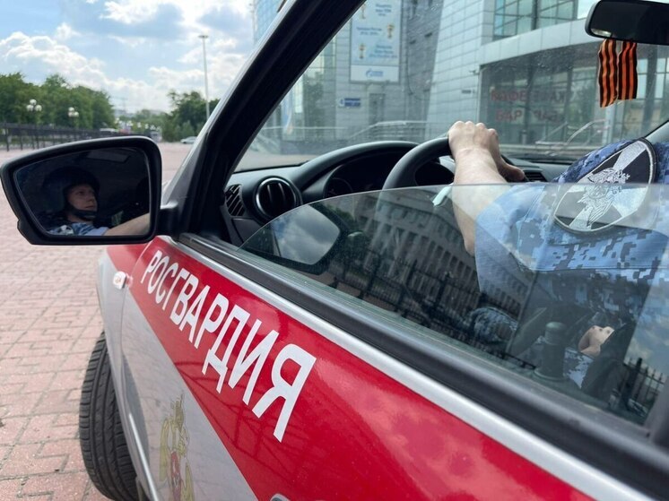 Угонщика автомобиля задержали силовики в Коломне