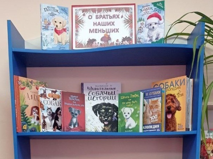 В Токмаке проходит книжная выставка, приуроченная к Международному дню защиты собак