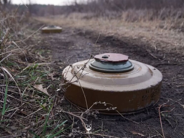 ВСУ установили в курском приграничье мины с устройством водородной бомбы
