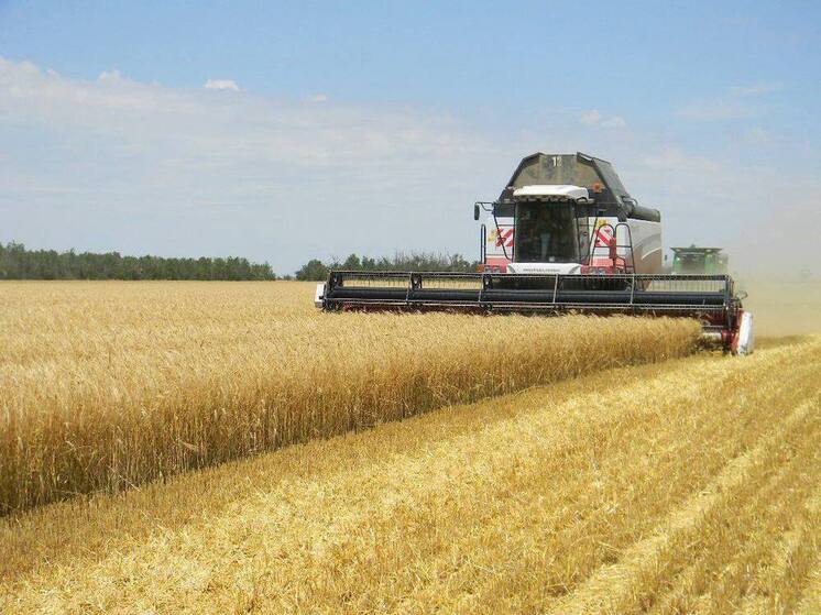 Аграрии Ставрополья собрали первый миллион тонн зерна