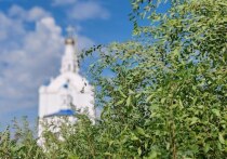 По народному календарю 3 июля 2025 года отмечается день Мефодия Перепелятника, православная церковь вспоминает епископа Мефодия, жившего на рубеже третьего и четвертого веков в Малой Азии.
