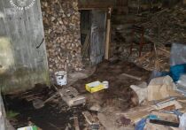 Следственные органы возбудили уголовное дело в отношении жительницы Санкт-Петербурга, подозреваемой в организации нелегального детского лагеря в Тверской области, где дети содержались в опасных для жизни и здоровья условиях