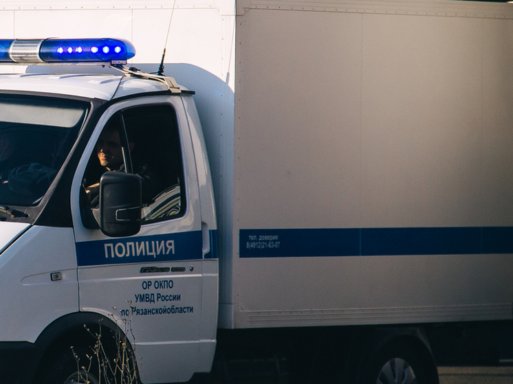 Полицейские задержали подозреваемого в ограблении супермаркета в Рязани