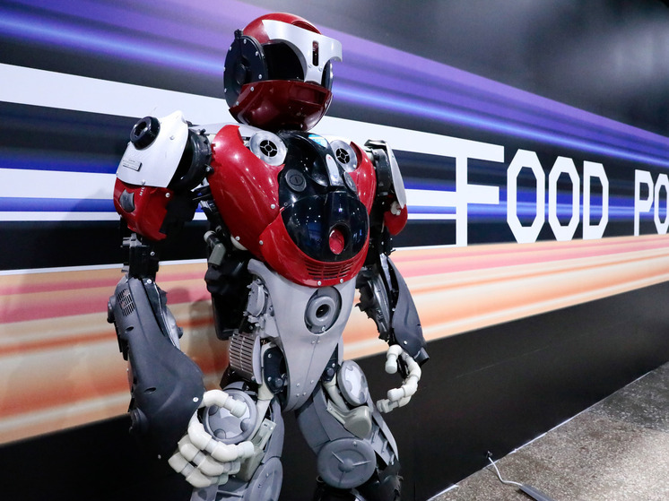 Anketolog: около трети россиян считают, что из-за развития ИИ может начаться восстание машин