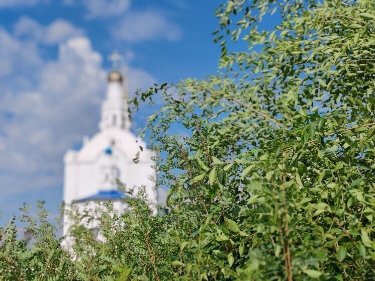 По народному календарю 3 июля 2025 года отмечается день Мефодия Перепелятника, православная церковь вспоминает епископа Мефодия, жившего на рубеже третьего и четвертого веков в Малой Азии.