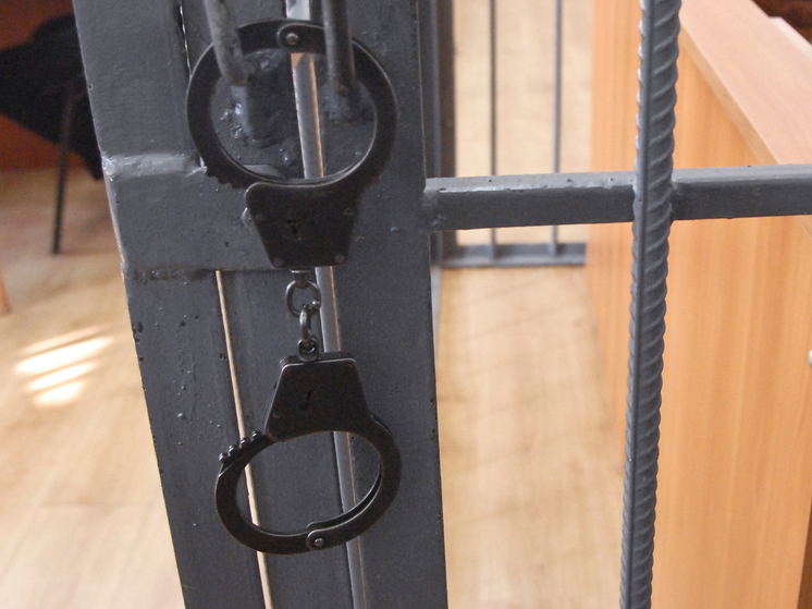 Сыну Шахлинского, наехавшему на силовика на «Гелендвагене», грозит уголовка