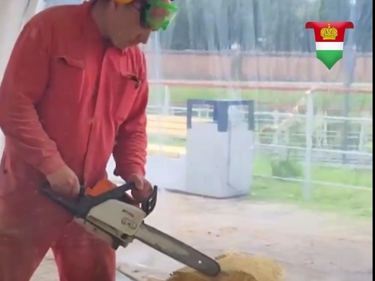 Братья Карамазовы поселятся в парке Достоевского под Козельском