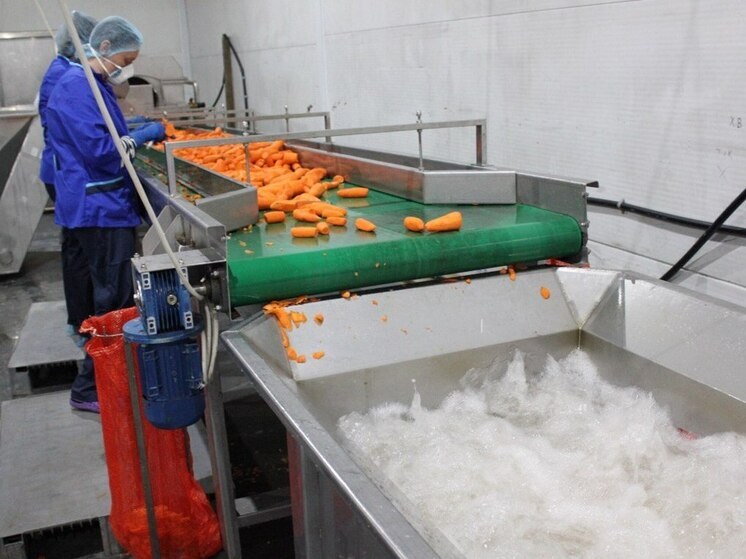 В Волгоградской области 86 компаний внедрят в производство бережливые технологии