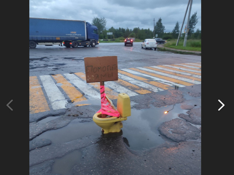 В Рыбинске городские ямы обозначили золотыми унитазами