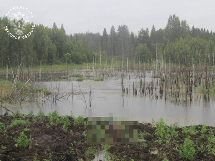 Появилась фотография с места гибели дорожного рабочего в Тверской области