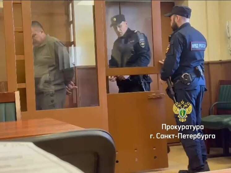 Петербуржца, убившего жену на глазах у ребенка, взяли под стражу до 31 августа