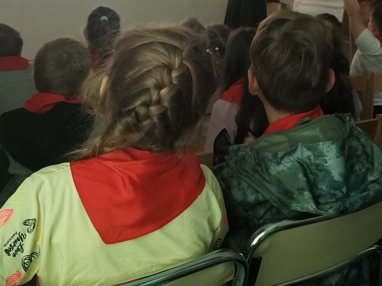 Шесть детских лагерей в Приморье вернут государству по решению Совфеда