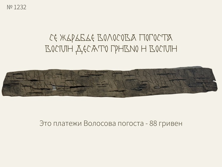 Найденная на Троицком раскопе в Великом Новгороде грамота оказалась необычной