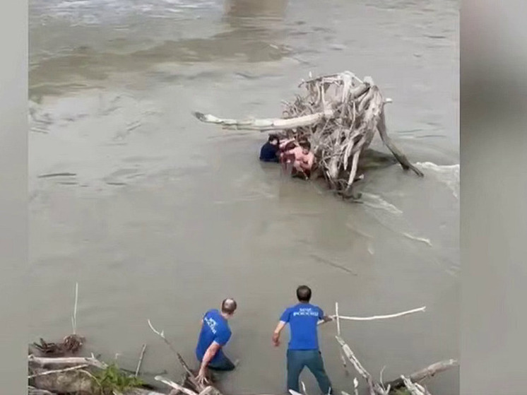 В Северной Осетии сотрудники МЧС спасли тонущую в Тереке пенсионерку