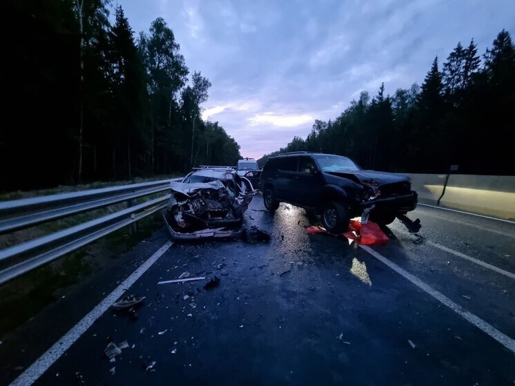 В Калуге под стражу заключили нетрезвого водителя из столицы
