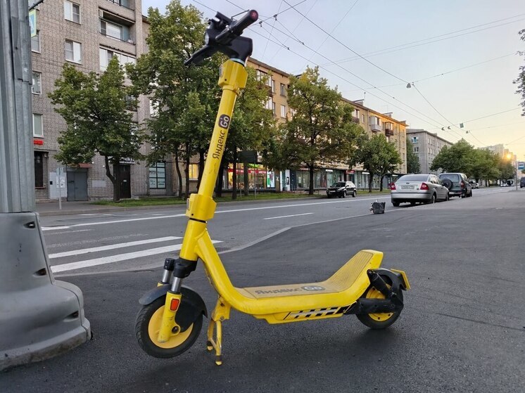 Эксперт назвал контроль за СИМ в Петербурге борьбой с ветряными мельницами
