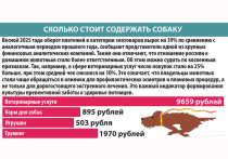 Сколько стоит содержать собаку