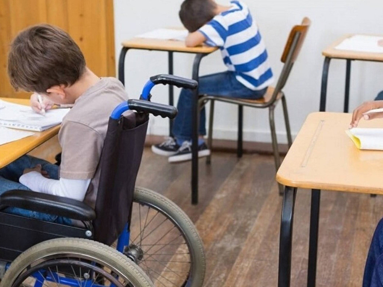 Для детей с тяжелыми множественными нарушениями развития предложено сделать специальные центры