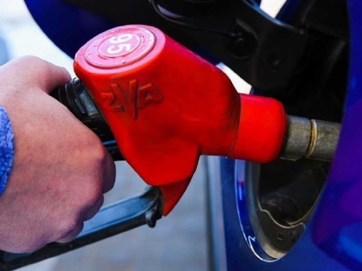 В Волгоградской области поднялись в цене почти все виды автомобильного топлива