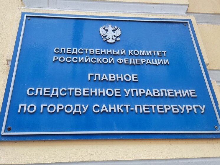 Бастрыкин взял на контроль дело об избиении подростка, заступившегося за брата в Петербурге