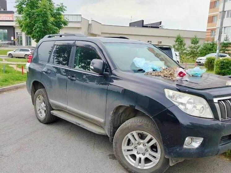 Хабаровчане отомстили водителю, паркующемуся возле мусорок