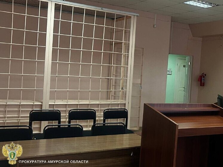 Амурчанина вернули в колонию за нарушение УДО