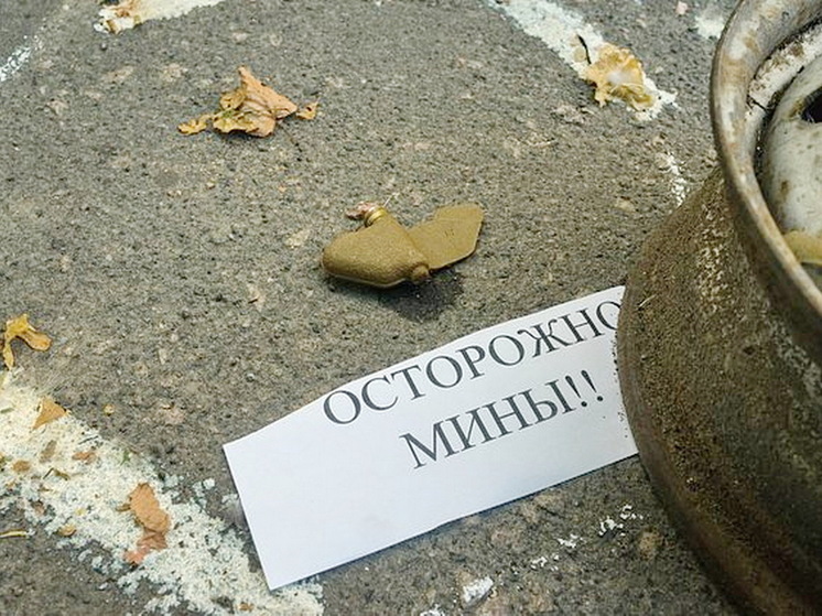 ВСУ применяли запрещенное оружие и до выхода из Оттавской конвенции