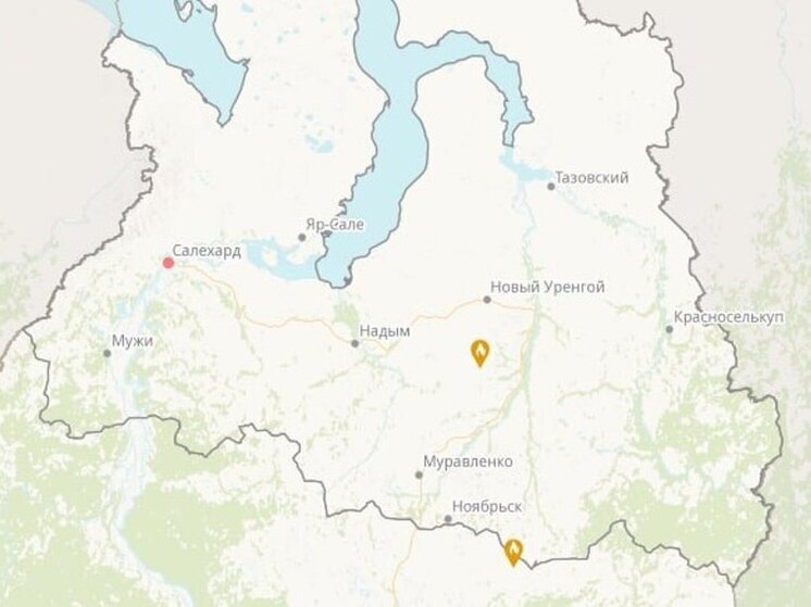 Два лесных пожара действуют в ЯНАО