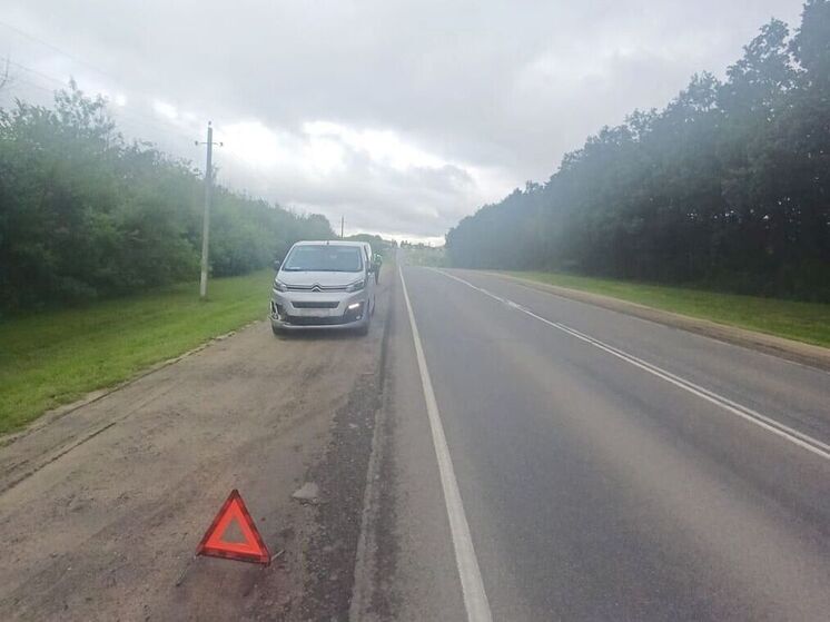 На орловской трассе иномарка насмерть сбила косулю