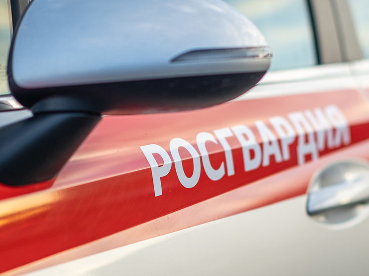 Росгвардейцы пресекли нарушение общественного порядка в Бессоновке