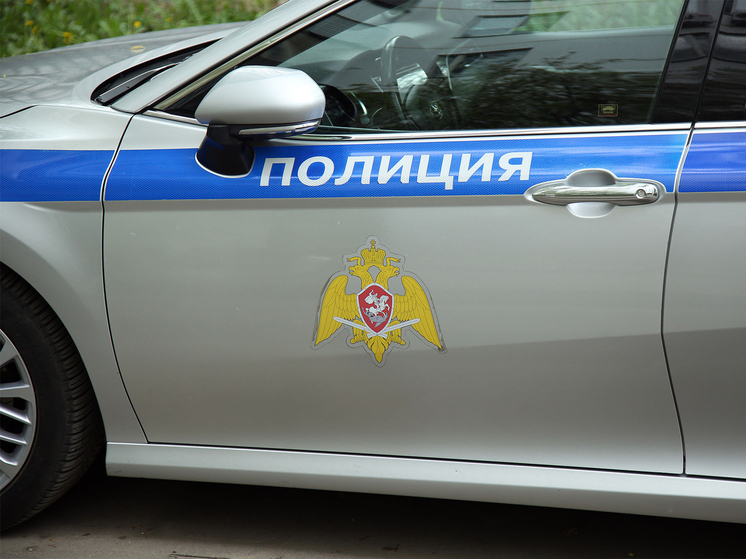 Вымогатель угрожал подмосковному жителю расправой в случае отказа от аренды участка