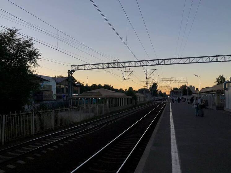 Завершение экспертизы проекта ВСМ Москва — Петербург ожидается в сентябре