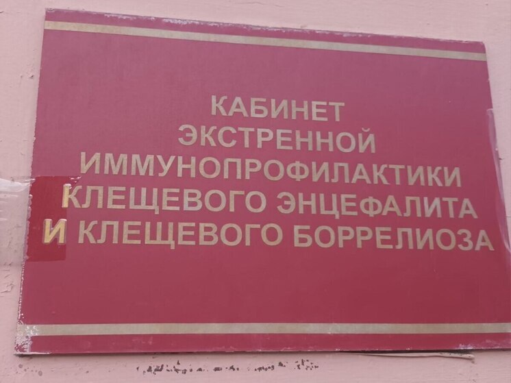 В Новосибирске за весь эпидсезон клещами было укушено 3 222 детей