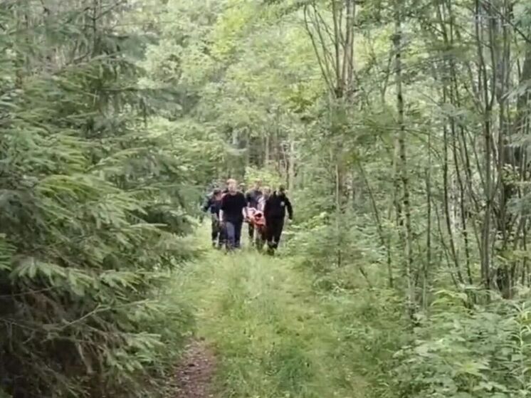 Спасатели вынесли из леса подростка, который серьезно пострадал, упав с дерева
