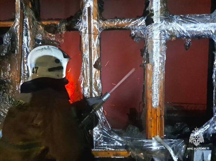 В белгородском селе Погромец во время пожара в доме погибла женщина