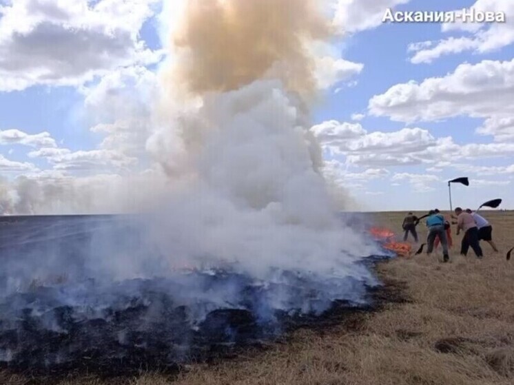 После атаки БПЛА пожар в заповеднике «Аскания-Нова» тушили полтора суток