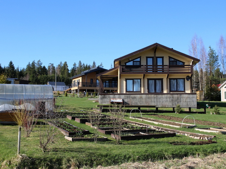 Агроном Воробьев: специальная защитная сетка поможет спасти урожай от птиц