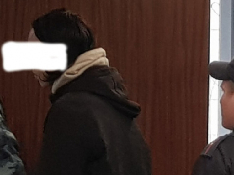 В Петрозаводске вынесен приговор 16-летнему подростку, напавшему с ножом на двух девушек