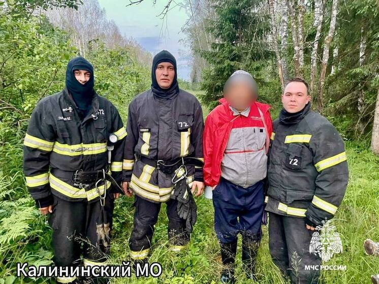 В Тверской области вывели из леса заблудившихся грибников