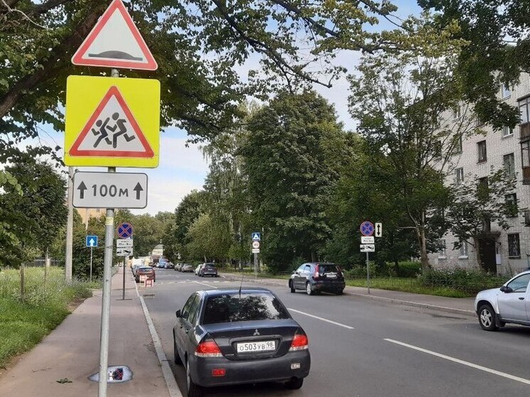 В России предложили штрафовать перевозчиков до 30 тыс. рублей