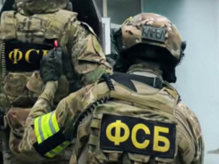 ФСБ задержала девушку в Петербурге в момент закладки бомбы под машину