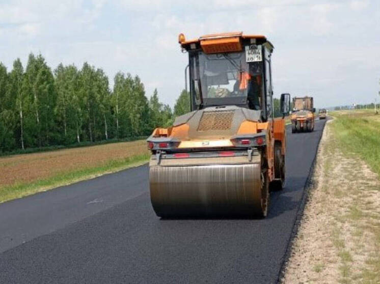 В Татарстане в рамках нацпроекта ремонтируют участок автодороги Балтаси – Шемордан