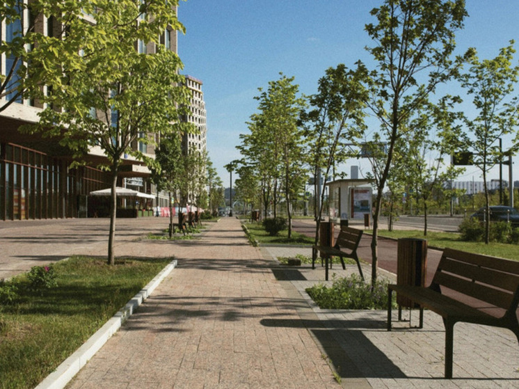 В Новосибирске выбрали парки и скверы для благоустройства в 2026 году