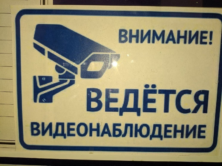 Видеокамеры в Вологде снимают граждан, устраивающих свалки
