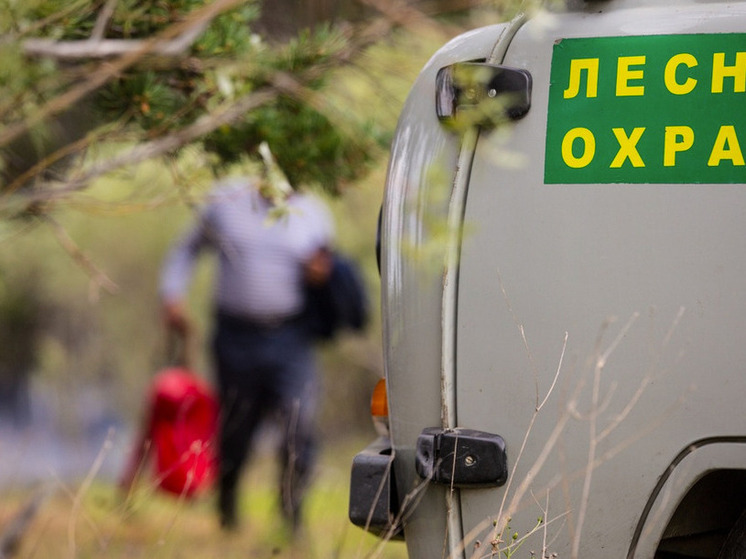 В Югре продолжается борьба с лесными пожарами