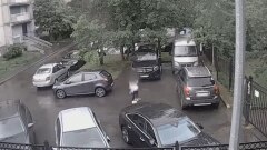 В ФСБ поделились кадрами с задержанием 22-летней россиянки, готовившей теракт 